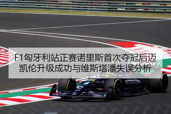 F1匈牙利站正赛诺里斯首次夺冠后迈凯伦升级成功与维斯塔潘失误分析